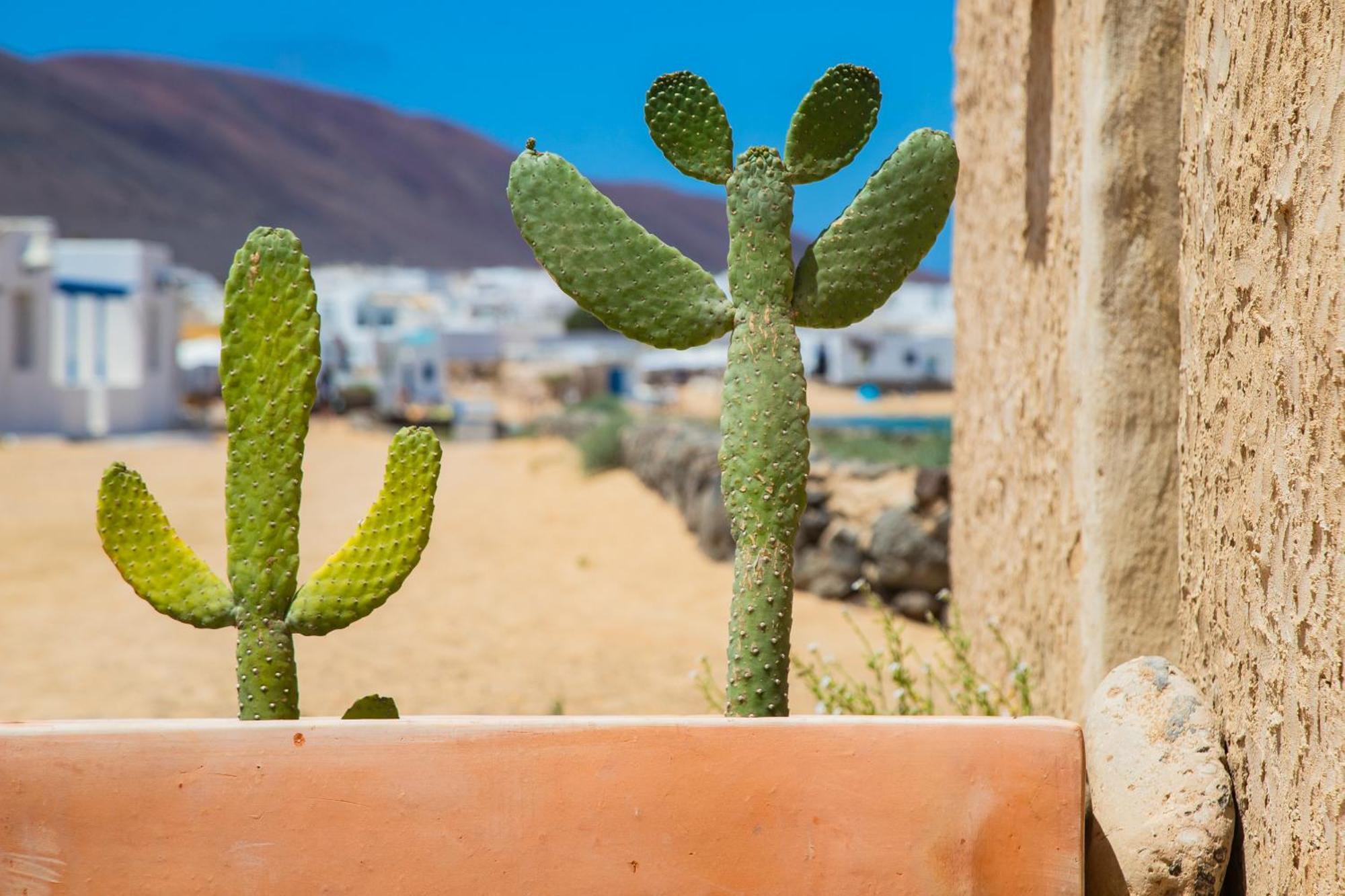 Eslanzarote La Duna House, Wifi, Sea Views カレタ・デル・セボ エクステリア 写真